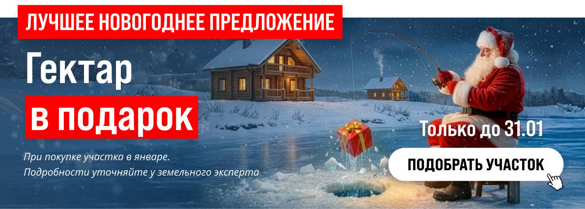 Специальное предложение